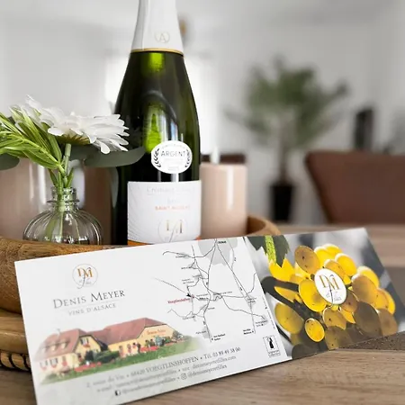 Vue Vignoble T4 Avec Terrasse Pres Colmar *