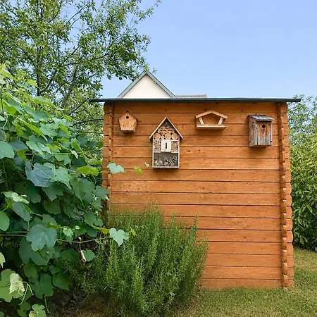 Vue Vignoble T4 Avec Terrasse Pres Colmar Appartement