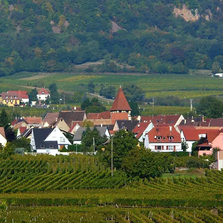 Vue Vignoble T4 Avec Terrasse Pres Colmar * Obermorschwihr